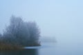 Foggy winter frozen lake Royalty Free Stock Photo