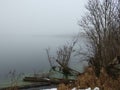 Foggy winter lake with green algae