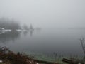 Foggy winter lake with view and green algae