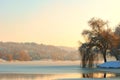 Foggy winter lakeside