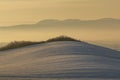 Foggy winter landscape with agricultural field