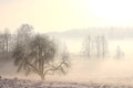 Foggy winter landscape in cold day