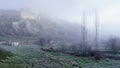 Foggy winter landscape with country houses and tall trees with bare branches Royalty Free Stock Photo