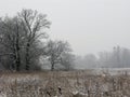Foggy winter landscape Royalty Free Stock Photo