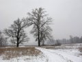 Foggy winter landscape Royalty Free Stock Photo