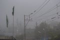 Foggy Winter Morning with Birds perching on Electric Wires