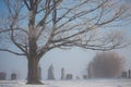 Foggy winter morning in a cemetery with hoarfrost on the trees, horizontal Royalty Free Stock Photo