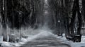 Foggy Winter Park Path with Snow and Bare Trees Royalty Free Stock Photo