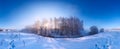 Foggy winter riverside at morning panorama with sun through birch trees in center