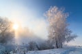 Foggy winter riverside at morning with sun shine between birch trees - horizontal frame