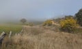 Foggy winter rural landscape and Carcoar Blayney Wind Farm Royalty Free Stock Photo