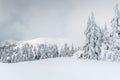 Foggy winter scene in the backcountry