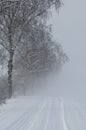 Foggy winter scenery
