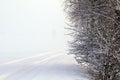 Foggy winter scenery Royalty Free Stock Photo