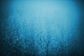 Foggy Winter Scenery Royalty Free Stock Photo