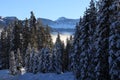 Foggy winter scenery in Lake Louis in Canada Royalty Free Stock Photo