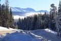 Foggy winter scenery in Lake Louis in Canada Royalty Free Stock Photo