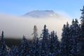 Foggy winter scenery in Lake Louis in Canada Royalty Free Stock Photo