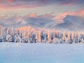 Foggy winter sunrisein mountains Royalty Free Stock Photo