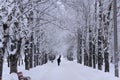 Foggy wintry morning in Saint-Petersburg Russia . People are walking to work on snow-covered avenue. Royalty Free Stock Photo