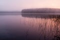 Foggy, wood lake autumn, in the quiet morning Royalty Free Stock Photo