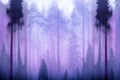 A foggy wood pine forest with dark trees shillouettes and purple blue colors. Dramatic fog in the forest. Ai generated