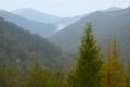 Fogs and mists and autumn colors in the forests of the Alto de Arano, Navarre Royalty Free Stock Photo