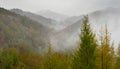 Fogs and mists and autumn colors in the forests of the Alto de Arano, Navarre Royalty Free Stock Photo