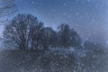 winter morning - road trees and snow