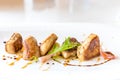 Foie gras, grilled Royalty Free Stock Photo