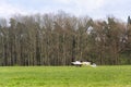 Fokker E. III Eindecker fighter aircraft of World War I. stands on airport Royalty Free Stock Photo