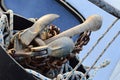 Foldable anchor of small power boat placed in bucket on front of the boat with rusty chain and rope