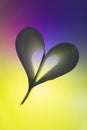 Folded backlit paper abstract heart shape suitabe as wallpaper