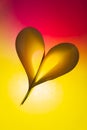 Folded backlit paper abstract heart shape suitabe as wallpaper