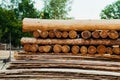 Folded boards and logs on construction site