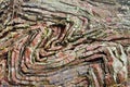 Folded chert layers at Rainbow Rock, Oregon Royalty Free Stock Photo