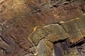 Folded chert layers at Rainbow Rock, Oregon Royalty Free Stock Photo