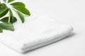 Folded clean white fluffy terry towel green house plant in bathroom. Minimalist airy style. Womens baby hygiene laundry body care