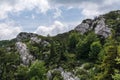 Folded layers rock formations in Risnjak, Croatian national park. Royalty Free Stock Photo