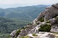 Folded mountain peak in Risnjak, Croatian national park. Royalty Free Stock Photo