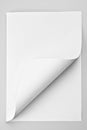 Folded sheet of paper with curled corner Royalty Free Stock Photo