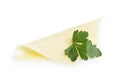 Folded slice of edam cheese Royalty Free Stock Photo