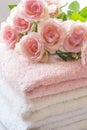 Folded towels and pink roses Royalty Free Stock Photo