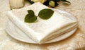 Elegant White Napkin with Green Leaves on a Plate Royalty Free Stock Photo