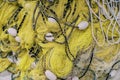 Folded yellow fishing net with white floats. Top view Royalty Free Stock Photo