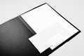 Folder, blank letterhead, envelope and business card