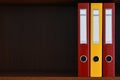 Folders for documents in the closet on the shelf in the office, files, copy space, background, close-up, office supplies