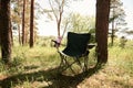 Folding camp chair for a picnic in the pine forest in the morning Royalty Free Stock Photo