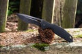 A folding knife with a black handle and a black blade. Knife and spruce cone. Royalty Free Stock Photo