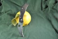 Folding knife and fresh organic ripe fruit quince natural gourmet product dessert background